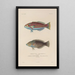 Voyage autour du monde Pl042 - Louis-Isidore Duperrey — framed artwork on a wall