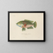 Voyage around the world - Louis-Isidore Duperrey — framed artwork on a wall