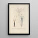 Voyage autour du monde Pl046 - Louis-Isidore Duperrey — framed artwork on a wall