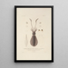 Voyage around the World Pl047 - Louis-Isidore Duperrey — framed artwork on a wall