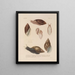 Voyage around the World Pl. 054 - Louis-Isidore Duperrey — framed artwork on a wall