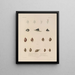 Voyage around the world Pl. 055 - Louis-Isidore Duperrey — framed artwork on a wall