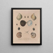 Voyage around the World Pl. 056 - Louis-Isidore Duperrey — framed artwork on a wall