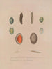 Voyage around the World Pl. 059 - Louis-Isidore Duperrey — artwork view
