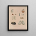 Voyage around the World Pl. 060 - Louis-Isidore Duperrey — framed artwork on a wall