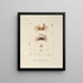 Voyage autour du monde Pl. 062 - Louis-Isidore Duperrey — framed artwork on a wall