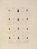 Voyage around the World Pl. 069 - Louis-Isidore Duperrey — artwork view