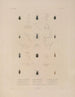 Voyage autour du monde Pl. 070 - Louis-Isidore Duperrey — artwork view