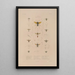 Voyage autour du monde Pl074 - Louis-Isidore Duperrey — framed artwork on a wall