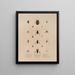 Voyage around the World Pl077 - Louis-Isidore Duperrey — framed artwork on a wall