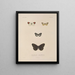 Voyage autour du monde Pl081 - Louis-Isidore Duperrey — framed artwork on a wall