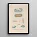 Voyage autour du monde Pl093 - Louis-Isidore Duperrey — framed artwork on a wall