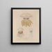 Voyage around the World Pl098 - Louis-Isidore Duperrey — framed artwork on a wall