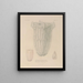 Voyage around the world Pl102 - Louis-Isidore Duperrey — framed artwork on a wall