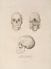 Voyage autour du monde Pl104 - Louis-Isidore Duperrey — artwork view