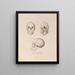 Voyage autour du monde Pl104 - Louis-Isidore Duperrey — framed artwork on a wall