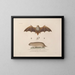 Voyage around the world, Pl. 105 - Louis-Isidore Duperrey — framed artwork on a wall