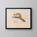 Voyage around the World - Louis-Isidore Duperrey — framed artwork on a wall