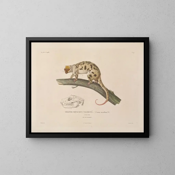 Voyage around the World - Louis-Isidore Duperrey — framed artwork on a wall