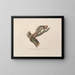 Voyage autour du monde Pl. 108 - Louis-Isidore Duperrey — framed artwork on a wall