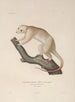 Voyage autour du monde Pl109 - Louis-Isidore Duperrey — artwork view