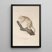 Voyage autour du monde Pl109 - Louis-Isidore Duperrey — framed artwork on a wall