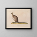 Voyage around the World - Louis-Isidore Duperrey — framed artwork on a wall