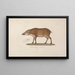 Voyage autour du monde Pl111 - Louis-Isidore Duperrey — framed artwork on a wall