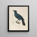 Voyage autour du monde Pl116 - Louis-Isidore Duperrey — framed artwork on a wall
