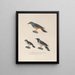 Voyage around the World Pl119 - Louis-Isidore Duperrey — framed artwork on a wall