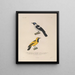 Voyage autour du monde Pl121 - Louis-Isidore Duperrey — framed artwork on a wall