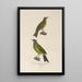 Voyage around the World Pl124 - Louis-Isidore Duperrey — framed artwork on a wall