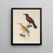 Voyage around the World Pl127 - Louis-Isidore Duperrey — framed artwork on a wall