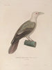 Voyage autour du monde Pl128 - Louis-Isidore Duperrey — artwork view