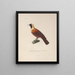 Voyage autour du monde Pl131 - Louis-Isidore Duperrey — framed artwork on a wall