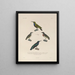 Voyage around the world Pl134 - Louis-Isidore Duperrey — framed artwork on a wall