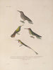 Voyage autour du monde Pl135 - Louis-Isidore Duperrey — artwork view