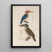 Voyage around the World Pl136 - Louis-Isidore Duperrey — framed artwork on a wall