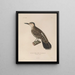 Voyage around the World Pl137 - Louis-Isidore Duperrey — framed artwork on a wall