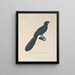 Voyage autour du monde Pl138 - Louis-Isidore Duperrey — framed artwork on a wall