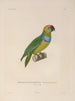Voyage around the World Pl140 - Louis-Isidore Duperrey — artwork view