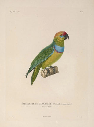 LouisIsidore Duperrey - Voyage autour du monde Pl140.webp