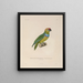 Voyage around the World Pl140 - Louis-Isidore Duperrey — framed artwork on a wall