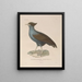 Voyage around the World Pl142 - Louis-Isidore Duperrey — framed artwork on a wall