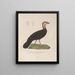 Voyage around the World Pl144 - Louis-Isidore Duperrey — framed artwork on a wall