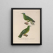 Voyage autour du monde Pl148 - Louis-Isidore Duperrey — framed artwork on a wall