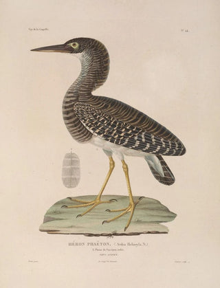 LouisIsidore Duperrey - Voyage autour du monde Pl150.webp