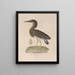 Voyage autour du monde Pl150 - Louis-Isidore Duperrey — framed artwork on a wall