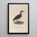 Voyage autour du monde Pl152 - Louis-Isidore Duperrey — framed artwork on a wall