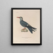 Voyage autour du monde Pl153 - Louis-Isidore Duperrey — framed artwork on a wall